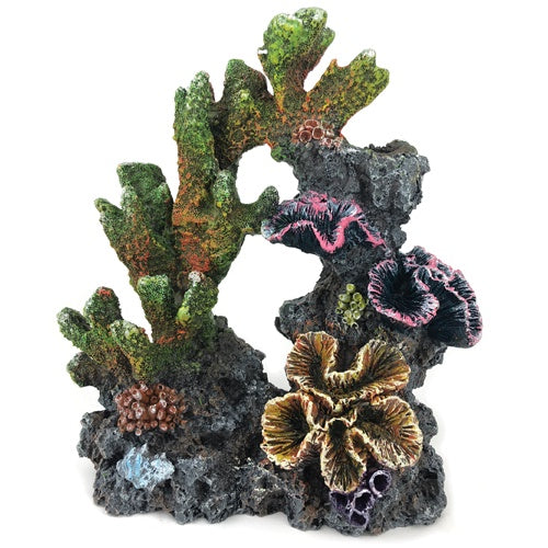 A/ORN CORAL ARCH LARGE 25CM