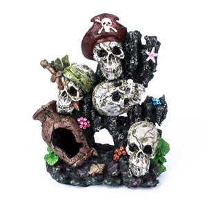 AquaWorld Pirate Skulls