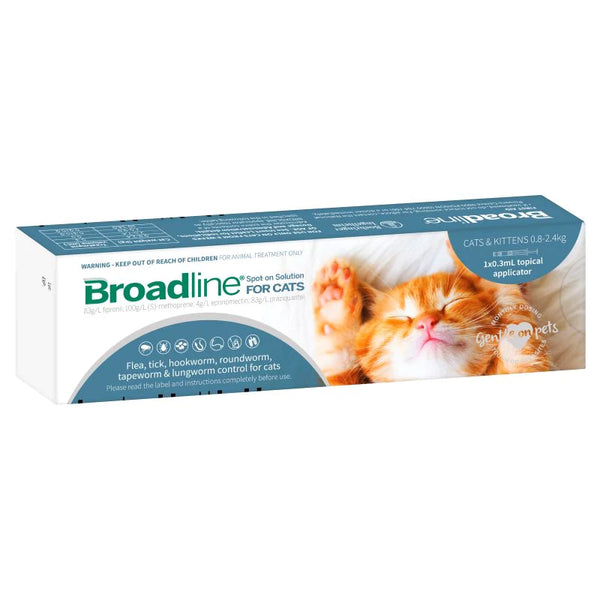 BROADLINE CAT\KITTEN
