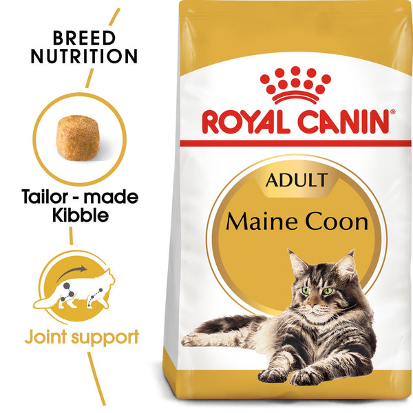 ROYAL CANIN MAINE COON ADULT DRY FOOD