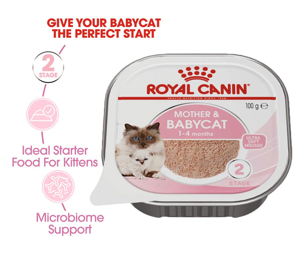 ROYAL CANIN MOTHER & BABYCAT MOUSSE