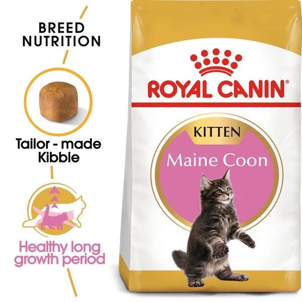 ROYAL CANIN MAINE COON KITTEN DRY FOOD
